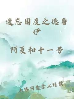 遗忘国度之德鲁伊
