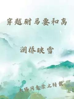 穿越驸马要和离