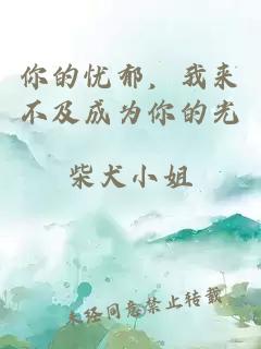 你的忧郁，我来不及成为你的光