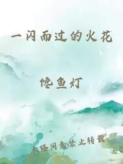 一闪而过的火花